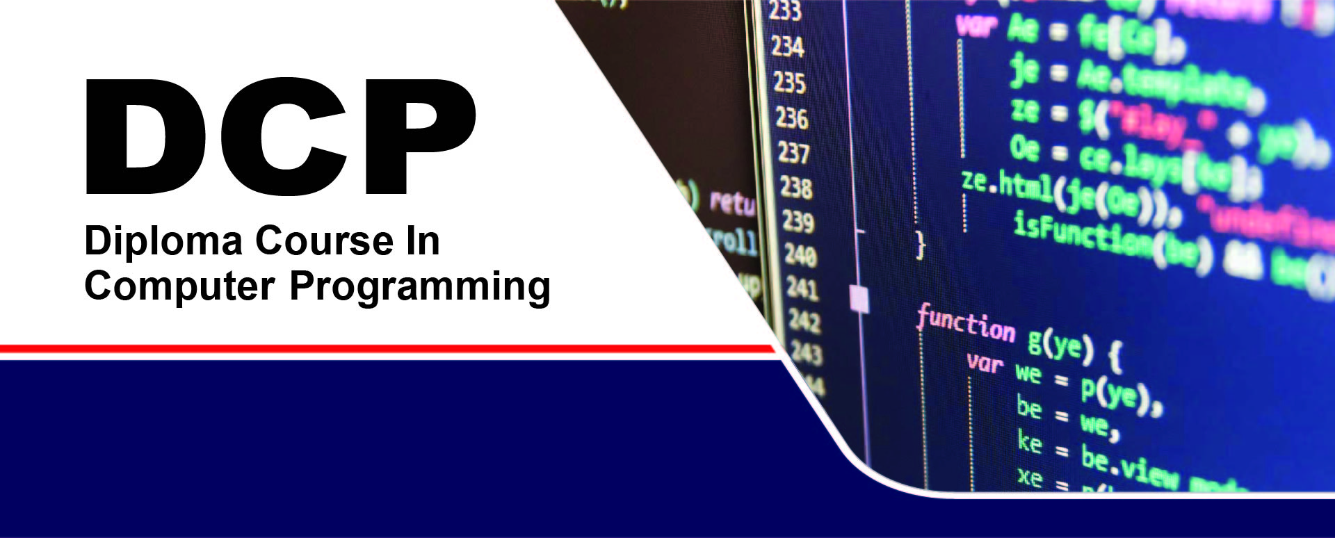 Diploma in Computer Programming